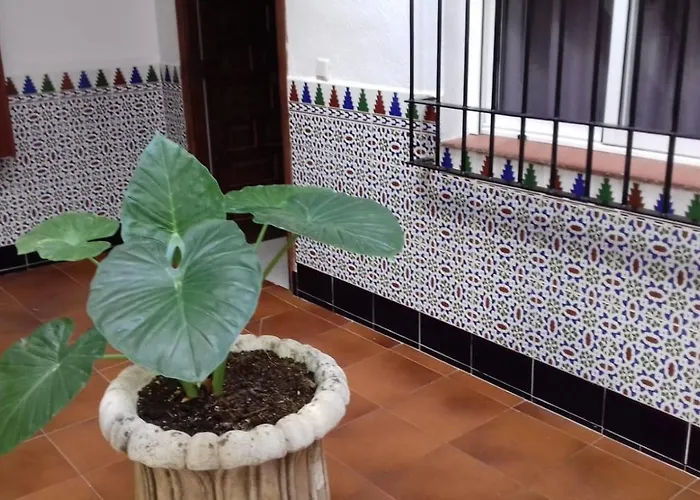 公寓 Patio Pompeyos